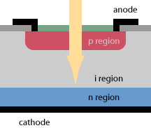 PIN photodiode Structure