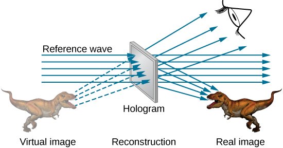 https://cnx.org/resources/06042e465afea72ae34452d18daff06f4a0c8e15/CNX_UPhysics_37_07_Eye.jpg