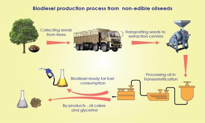 Karnataka Spearheads Biodiesel Movement in India
