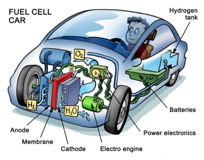 What makes hydrogen cars go? | Hydrogen fuel cell, Hydrogen car, Fuel cell
