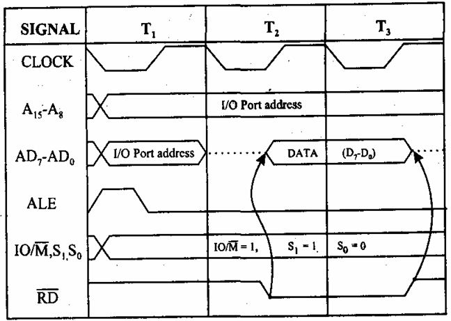 Education for ALL: Timing Diagram for I/O Read Machine Cycle