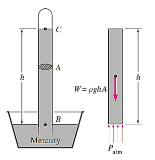 Diagram

Description automatically generated with medium confidence