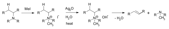 Key Difference - Saytzeff vs Hofmann Rule