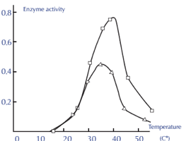 Enzyme activity and temperature