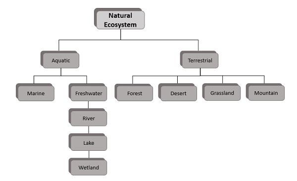 Natural Ecosystem