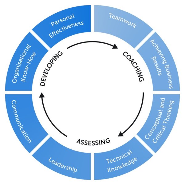 Competency model diagram