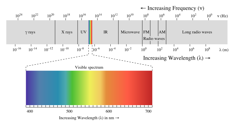 The electromagnetic spectrum is comprised of all the varieties of radiation in the universe. Gamma rays have the highest frequency, whereas radio waves have the lowest. Visible light is approximately in the middle of the spectrum, and comprises a very small fraction of the overall spectrum.