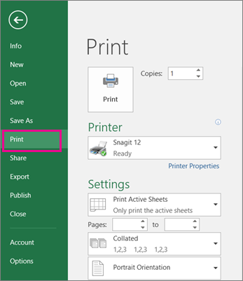 Click File > Print to preview your worksheet