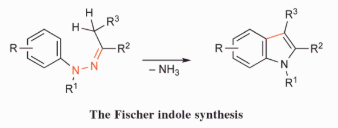 Fischer Indole Synthesis Reaction