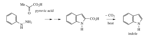 Drawbacks of Fischer Indole Synthesis