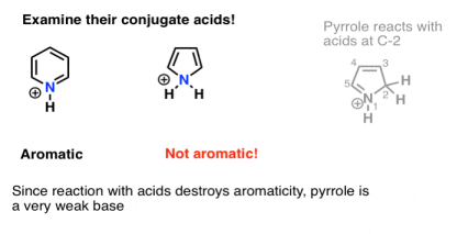 to understand basicity strength examine acidity of conjugate acid pyrrole is poor base