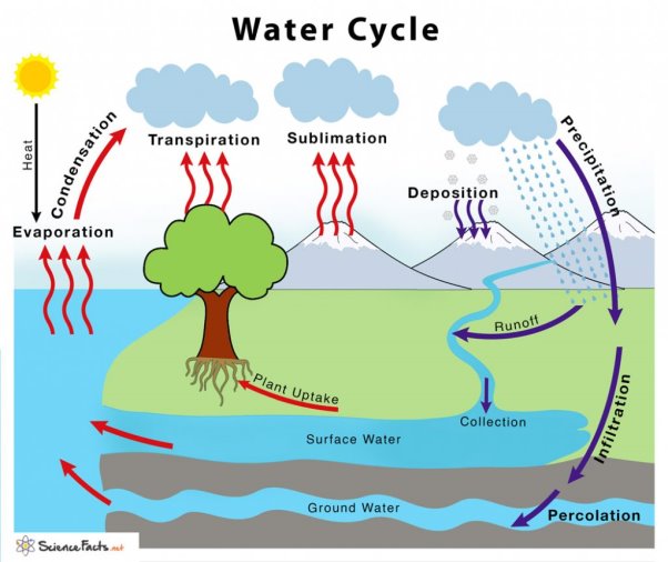 https://www.sciencefacts.net/wp-content/uploads/2020/05/Water-Cycle-1024x861.jpg