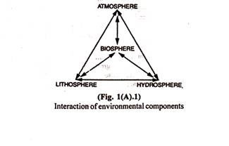 Interaction of Environmental Components