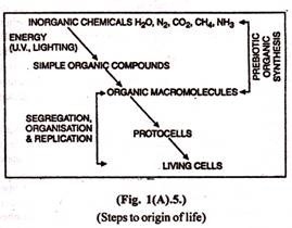 Steps to origin of life