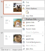 Duplicating slides