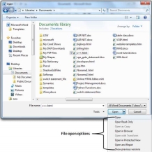 File Open Options