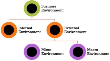 classification of business environment