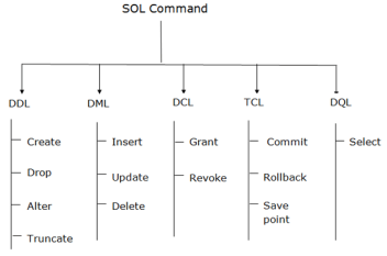 DBMS SQL command