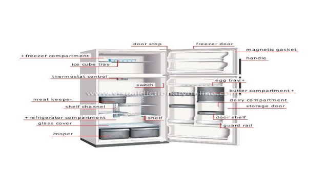 Parts of a refrigerator - visible 