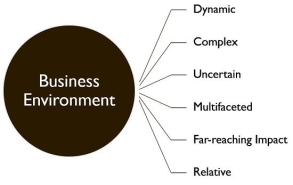 salient features of business environment