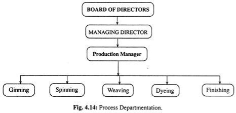 Process Departmentation