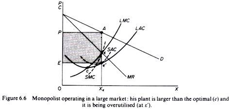 Monopolist operating in a large market