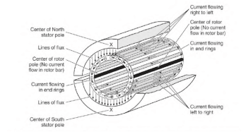 Squirrel Cage Induction Motor Working Principle