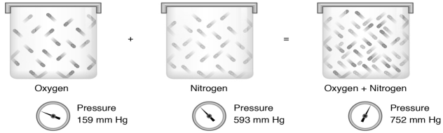 From left to right: A container with oxygen gas at 159 mm Hg, plus an identically sized container with nitrogen gas at 593 mm Hg combined will give the same container with a mixture of both gases and a total pressure of 752 mm Hg. 