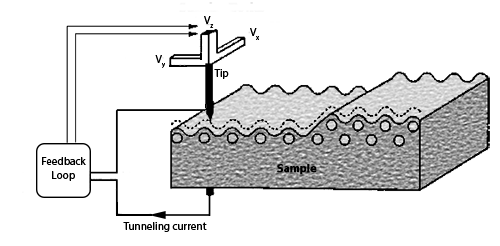 Schematic of Scanning tunneling microscopy