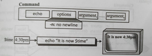 D:\Study\Unix and Shell Programming\6\WhatsApp Image 2021-02-25 at 01.35.27 (6).jpeg