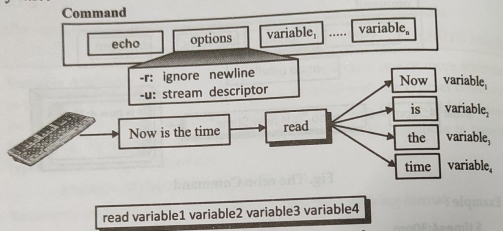 D:\Study\Unix and Shell Programming\6\WhatsApp Image 2021-02-25 at 01.35.27 (7).jpeg