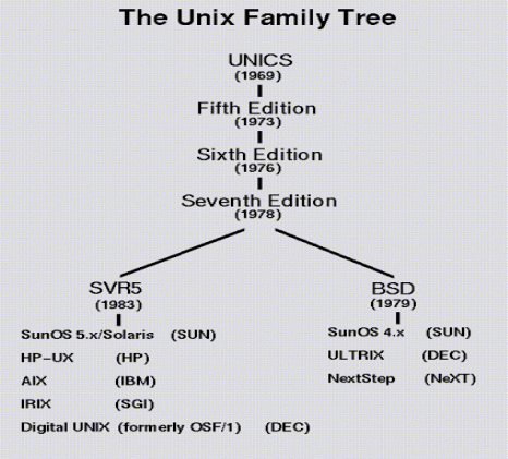 D:\Study\Unix and Shell Programming\1\1.gif