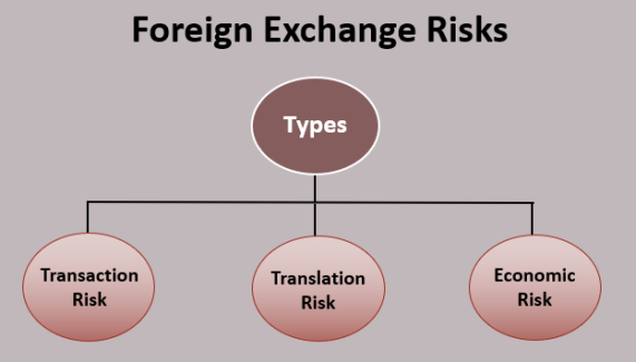 Foreign-Exchange-Risks.png