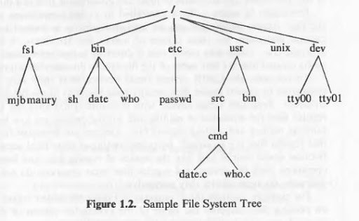 D:\Study\Unix and Shell Programming\1\file_system.jpg