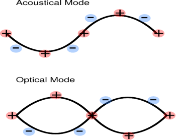 phonon modes