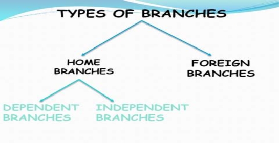 Types of Branches (Accounting) : Features of Dependent Branches and  Independent Branch