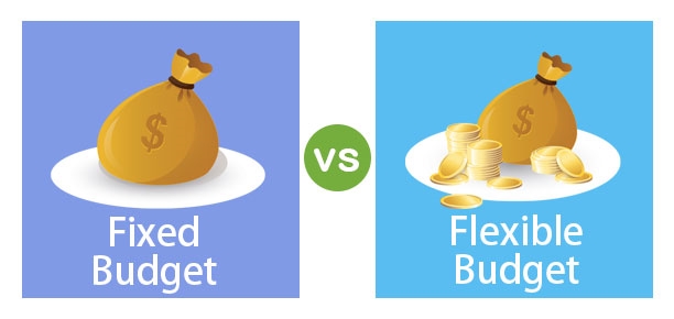 Difference Between Fixed and Flexible Budget | Top 9 Differences