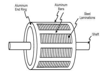 Squirrel Cage Induction Motor: Working Principle & Applications
