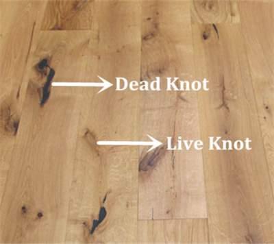 https://civiltoday.com/images/Article_Image/Dead-knot-and-Live-Knot.jpg