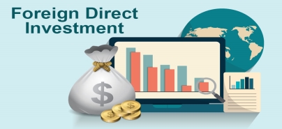 Foreign Direct Investment | Types of FDI | Advantages and Disadvantages