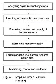 Steps in Human Resource Planning