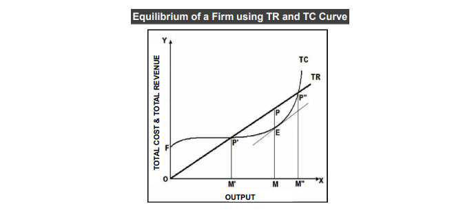 equilibrium of the firm