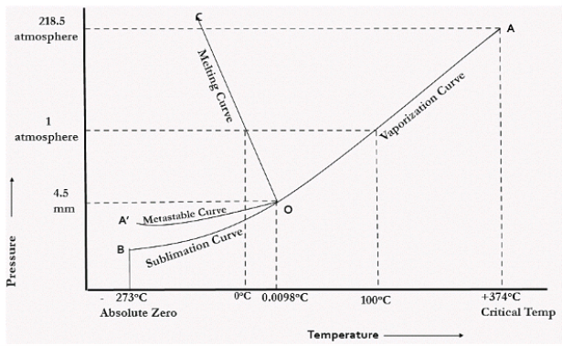 Draw and explain one component system with the phase diagram.