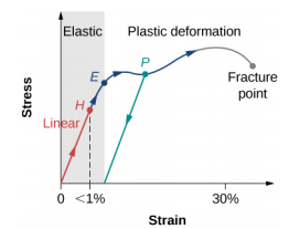 Figure shows a stress-strain plot. When the strain is below 1%, point H, stress grows linearly. Plastic deformation, marked as P, takes place between 1% and 30%. Further increase in strain results in fracture.