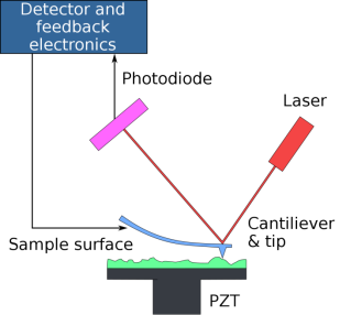 Atomic force microscopy - Wikipedia