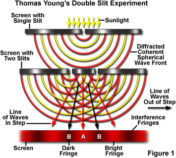 https://static3.olympus-lifescience.com/data/olympusmicro/primer/java/doubleslitwavefronts/doubleslitfigure1.jpg?rev=D8E6