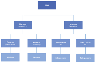 Line-Organizational-Structure-1