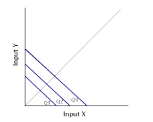 Producer's Equilibrium