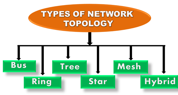 Computer Network Topologies