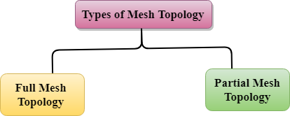 Computer Network Topologies